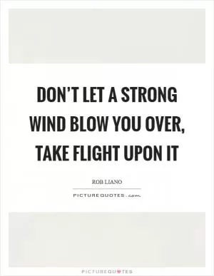 Don’t let a strong wind blow you over, take flight upon it Picture Quote #1