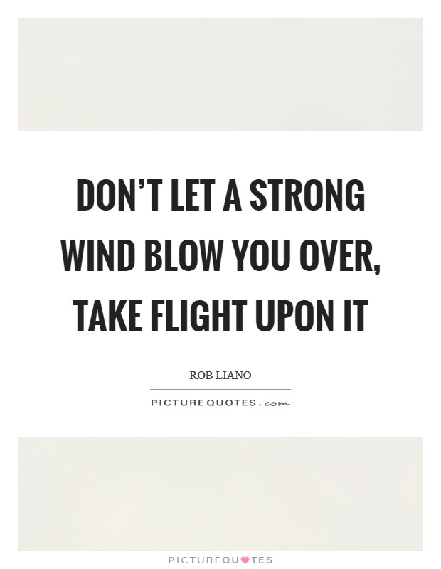 Don't let a strong wind blow you over, take flight upon it Picture Quote #1