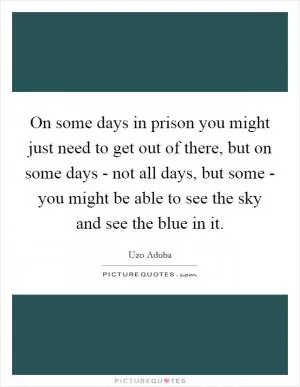 On some days in prison you might just need to get out of there, but on some days - not all days, but some - you might be able to see the sky and see the blue in it Picture Quote #1