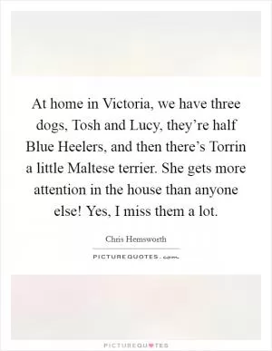 At home in Victoria, we have three dogs, Tosh and Lucy, they’re half Blue Heelers, and then there’s Torrin a little Maltese terrier. She gets more attention in the house than anyone else! Yes, I miss them a lot Picture Quote #1