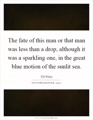 The fate of this man or that man was less than a drop, although it was a sparkling one, in the great blue motion of the sunlit sea Picture Quote #1