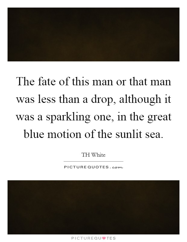 The fate of this man or that man was less than a drop, although it was a sparkling one, in the great blue motion of the sunlit sea. Picture Quote #1