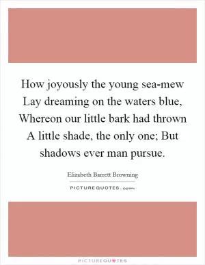 How joyously the young sea-mew Lay dreaming on the waters blue, Whereon our little bark had thrown A little shade, the only one; But shadows ever man pursue Picture Quote #1