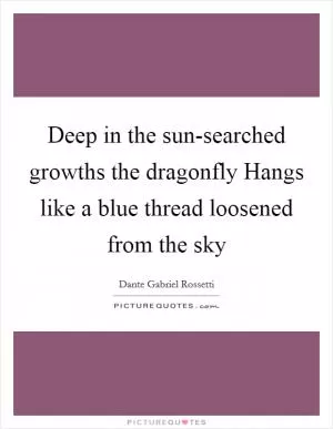 Deep in the sun-searched growths the dragonfly Hangs like a blue thread loosened from the sky Picture Quote #1