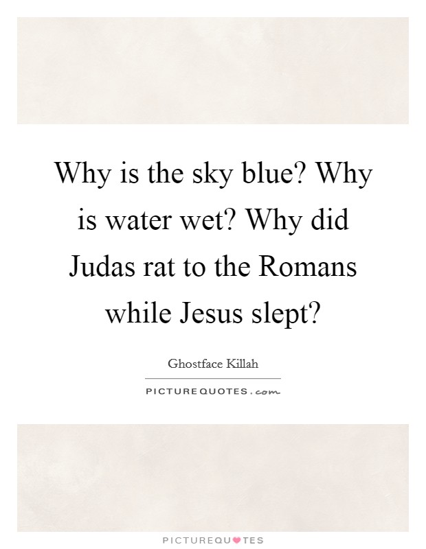 Why is the sky blue? Why is water wet? Why did Judas rat to the Romans while Jesus slept? Picture Quote #1
