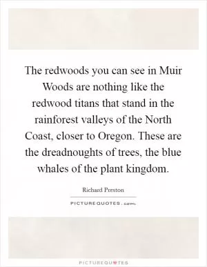 The redwoods you can see in Muir Woods are nothing like the redwood titans that stand in the rainforest valleys of the North Coast, closer to Oregon. These are the dreadnoughts of trees, the blue whales of the plant kingdom Picture Quote #1