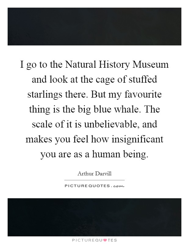 I go to the Natural History Museum and look at the cage of stuffed starlings there. But my favourite thing is the big blue whale. The scale of it is unbelievable, and makes you feel how insignificant you are as a human being. Picture Quote #1