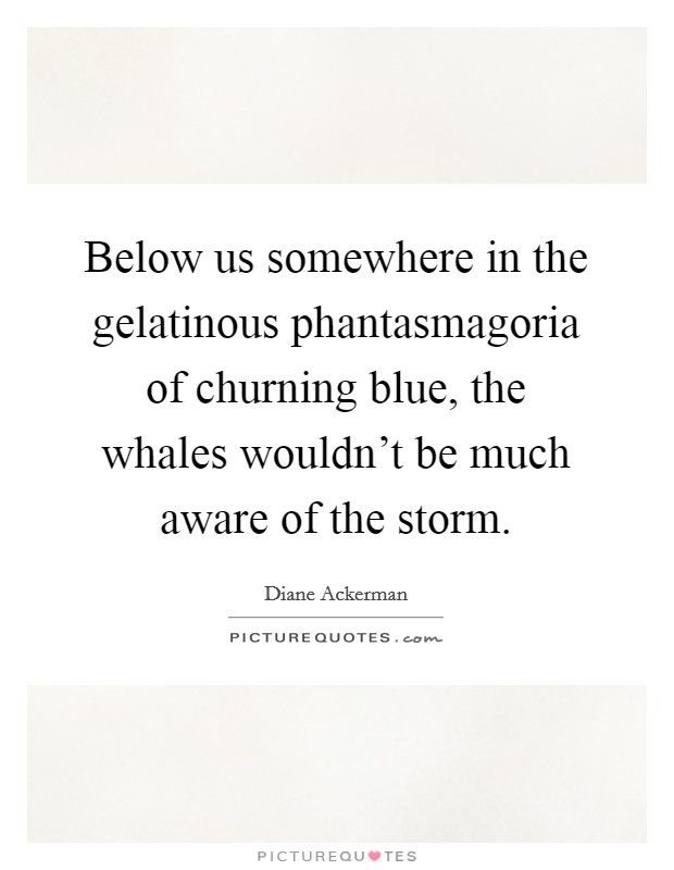Below us somewhere in the gelatinous phantasmagoria of churning blue, the whales wouldn't be much aware of the storm. Picture Quote #1