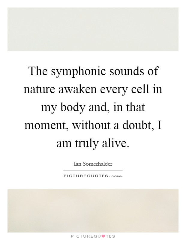 The symphonic sounds of nature awaken every cell in my body and, in that moment, without a doubt, I am truly alive. Picture Quote #1