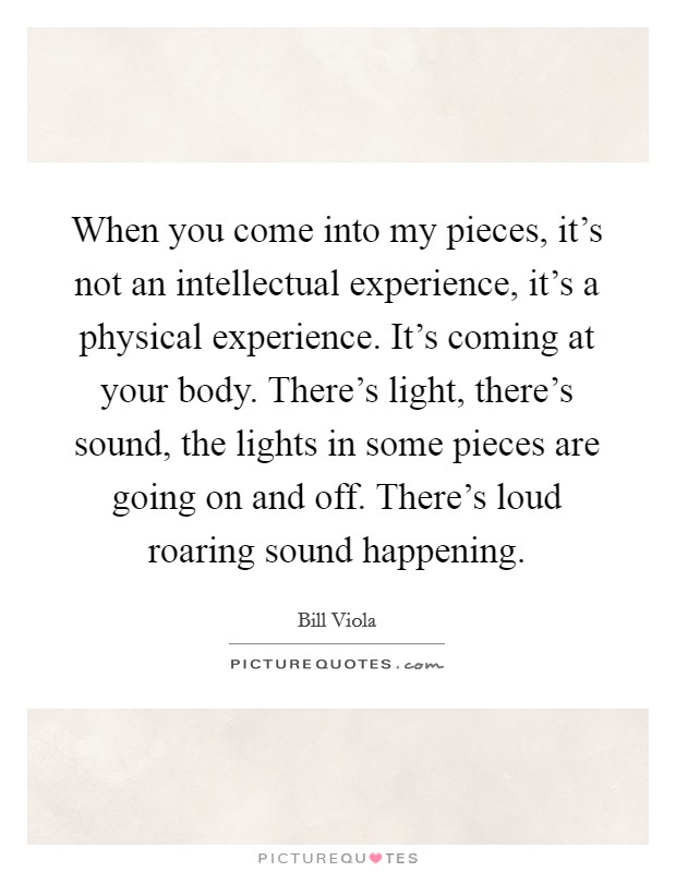 When you come into my pieces, it's not an intellectual experience, it's a physical experience. It's coming at your body. There's light, there's sound, the lights in some pieces are going on and off. There's loud roaring sound happening. Picture Quote #1