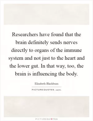 Researchers have found that the brain definitely sends nerves directly to organs of the immune system and not just to the heart and the lower gut. In that way, too, the brain is influencing the body Picture Quote #1