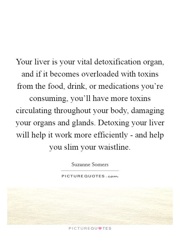 Your liver is your vital detoxification organ, and if it becomes overloaded with toxins from the food, drink, or medications you're consuming, you'll have more toxins circulating throughout your body, damaging your organs and glands. Detoxing your liver will help it work more efficiently - and help you slim your waistline. Picture Quote #1