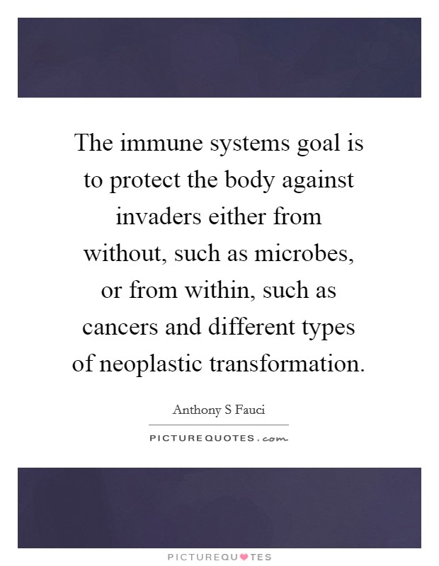 The immune systems goal is to protect the body against invaders either from without, such as microbes, or from within, such as cancers and different types of neoplastic transformation. Picture Quote #1