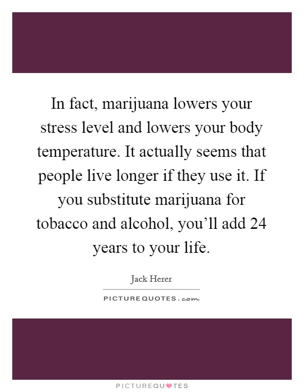 In fact, marijuana lowers your stress level and lowers your body temperature. It actually seems that people live longer if they use it. If you substitute marijuana for tobacco and alcohol, you'll add 24 years to your life. Picture Quote #1