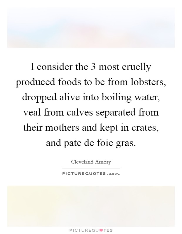 I consider the 3 most cruelly produced foods to be from lobsters, dropped alive into boiling water, veal from calves separated from their mothers and kept in crates, and pate de foie gras. Picture Quote #1