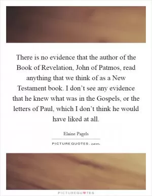 There is no evidence that the author of the Book of Revelation, John of Patmos, read anything that we think of as a New Testament book. I don’t see any evidence that he knew what was in the Gospels, or the letters of Paul, which I don’t think he would have liked at all Picture Quote #1