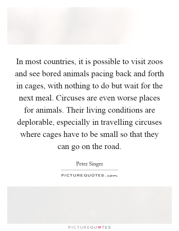 In most countries, it is possible to visit zoos and see bored animals pacing back and forth in cages, with nothing to do but wait for the next meal. Circuses are even worse places for animals. Their living conditions are deplorable, especially in travelling circuses where cages have to be small so that they can go on the road. Picture Quote #1