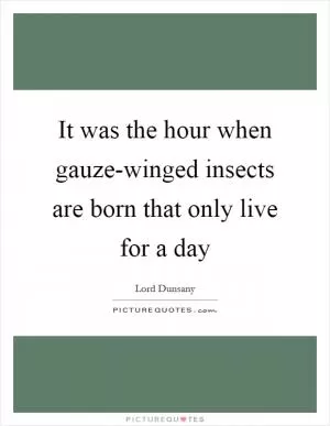 It was the hour when gauze-winged insects are born that only live for a day Picture Quote #1