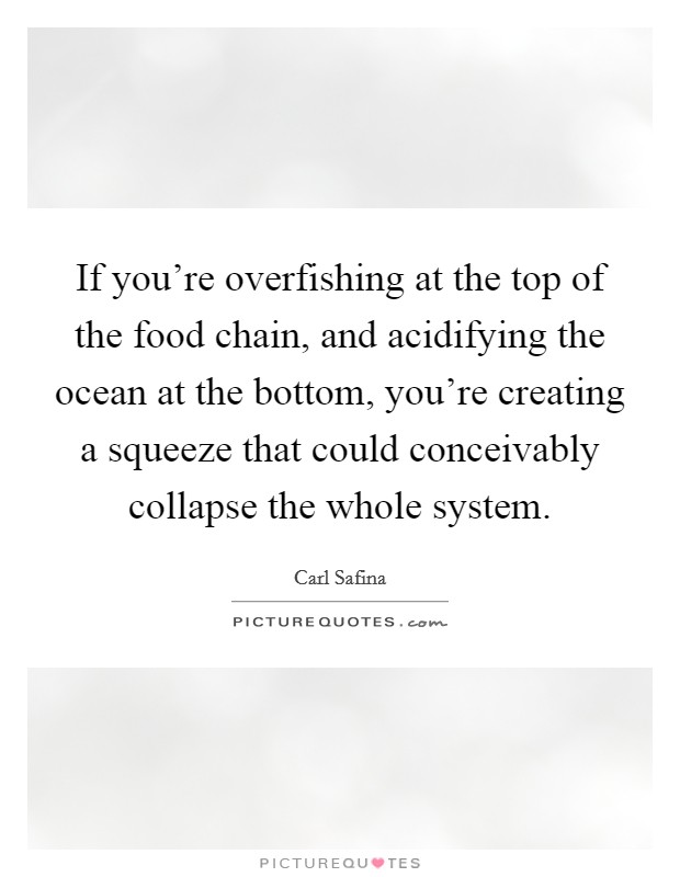 If you're overfishing at the top of the food chain, and acidifying the ocean at the bottom, you're creating a squeeze that could conceivably collapse the whole system. Picture Quote #1