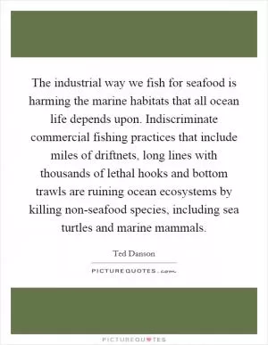 The industrial way we fish for seafood is harming the marine habitats that all ocean life depends upon. Indiscriminate commercial fishing practices that include miles of driftnets, long lines with thousands of lethal hooks and bottom trawls are ruining ocean ecosystems by killing non-seafood species, including sea turtles and marine mammals Picture Quote #1