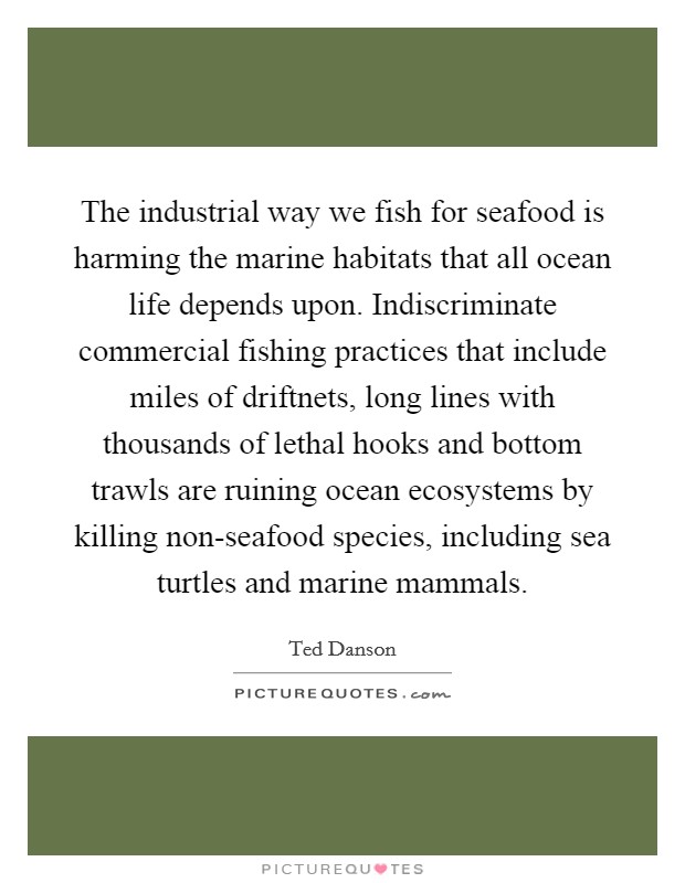 The industrial way we fish for seafood is harming the marine habitats that all ocean life depends upon. Indiscriminate commercial fishing practices that include miles of driftnets, long lines with thousands of lethal hooks and bottom trawls are ruining ocean ecosystems by killing non-seafood species, including sea turtles and marine mammals. Picture Quote #1
