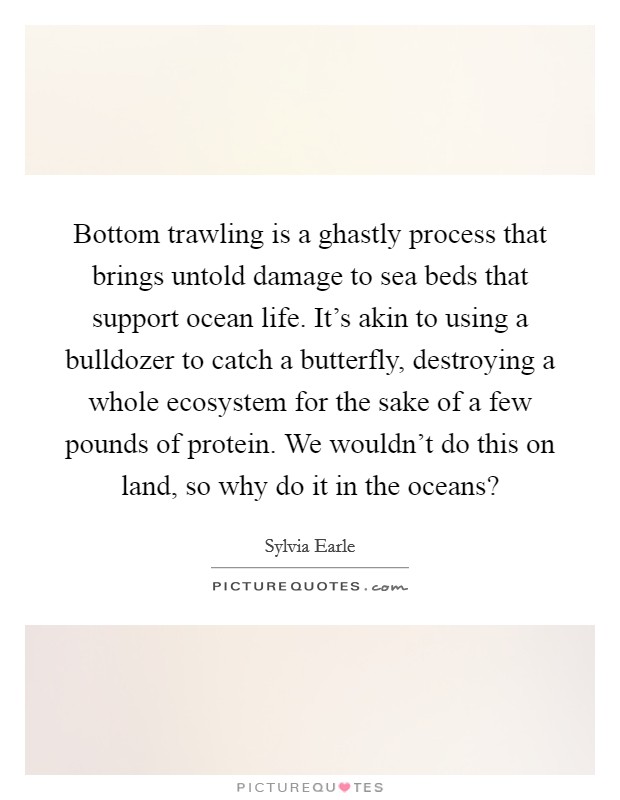 Bottom trawling is a ghastly process that brings untold damage to sea beds that support ocean life. It's akin to using a bulldozer to catch a butterfly, destroying a whole ecosystem for the sake of a few pounds of protein. We wouldn't do this on land, so why do it in the oceans? Picture Quote #1