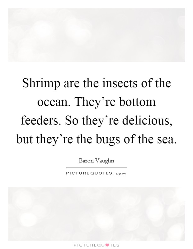 Shrimp are the insects of the ocean. They're bottom feeders. So they're delicious, but they're the bugs of the sea. Picture Quote #1