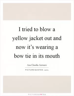 I tried to blow a yellow jacket out and now it’s wearing a bow tie in its mouth Picture Quote #1
