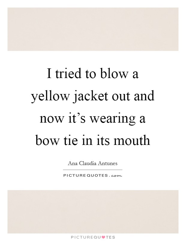 I tried to blow a yellow jacket out and now it's wearing a bow tie in its mouth Picture Quote #1