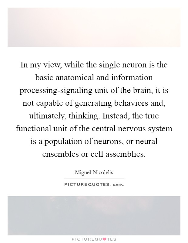 In my view, while the single neuron is the basic anatomical and information processing-signaling unit of the brain, it is not capable of generating behaviors and, ultimately, thinking. Instead, the true functional unit of the central nervous system is a population of neurons, or neural ensembles or cell assemblies. Picture Quote #1