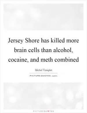 Jersey Shore has killed more brain cells than alcohol, cocaine, and meth combined Picture Quote #1
