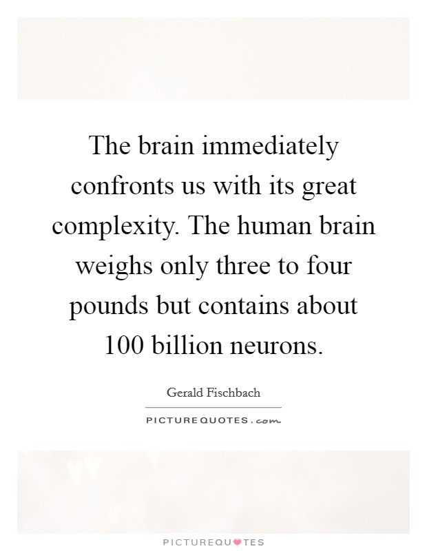 The brain immediately confronts us with its great complexity. The human brain weighs only three to four pounds but contains about 100 billion neurons. Picture Quote #1