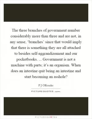 The three branches of government number considerably more than three and are not, in any sense, ‘branches’ since that would imply that there is something they are all attached to besides self-aggrandizement and our pocketbooks. ... Government is not a machine with parts; it’s an organism. When does an intestine quit being an intestine and start becoming an asshole? Picture Quote #1