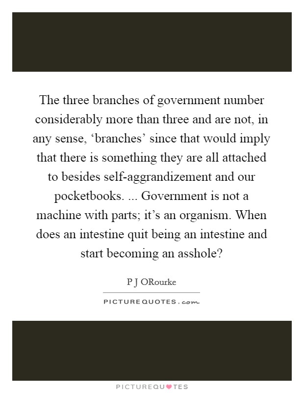 The three branches of government number considerably more than three and are not, in any sense, ‘branches' since that would imply that there is something they are all attached to besides self-aggrandizement and our pocketbooks. ... Government is not a machine with parts; it's an organism. When does an intestine quit being an intestine and start becoming an asshole? Picture Quote #1