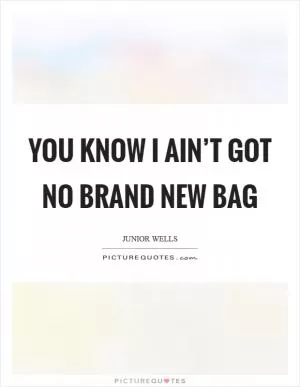 You know I ain’t got no brand new bag Picture Quote #1