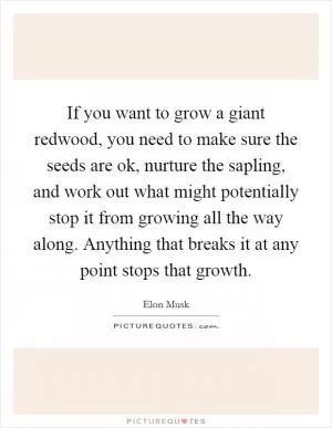If you want to grow a giant redwood, you need to make sure the seeds are ok, nurture the sapling, and work out what might potentially stop it from growing all the way along. Anything that breaks it at any point stops that growth Picture Quote #1
