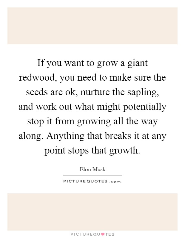 If you want to grow a giant redwood, you need to make sure the seeds are ok, nurture the sapling, and work out what might potentially stop it from growing all the way along. Anything that breaks it at any point stops that growth. Picture Quote #1