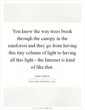 You know the way trees break through the canopy in the rainforest and they go from having this tiny column of light to having all this light - the Internet is kind of like that Picture Quote #1