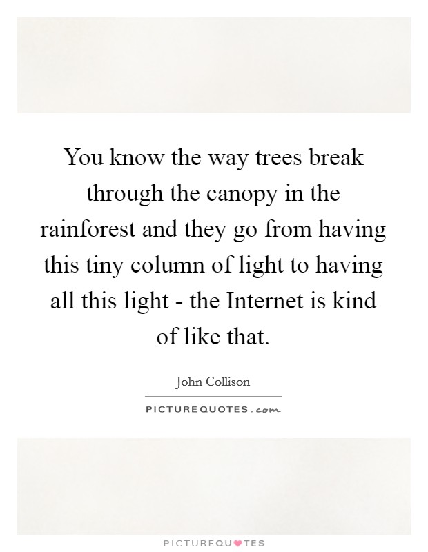 You know the way trees break through the canopy in the rainforest and they go from having this tiny column of light to having all this light - the Internet is kind of like that. Picture Quote #1