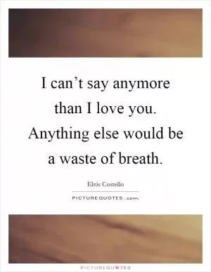I can’t say anymore than I love you. Anything else would be a waste of breath Picture Quote #1