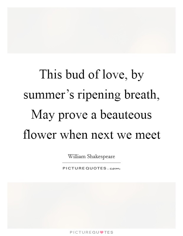 This bud of love, by summer's ripening breath, May prove a beauteous flower when next we meet Picture Quote #1