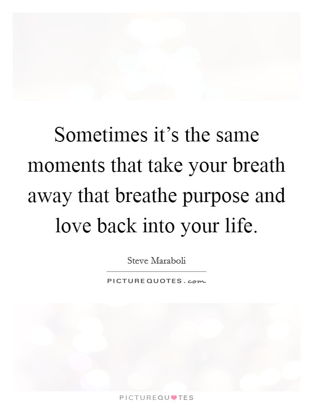 Sometimes it's the same moments that take your breath away that breathe purpose and love back into your life. Picture Quote #1