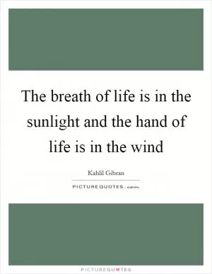 The breath of life is in the sunlight and the hand of life is in the wind Picture Quote #1