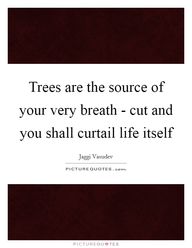 Trees are the source of your very breath - cut and you shall curtail life itself Picture Quote #1