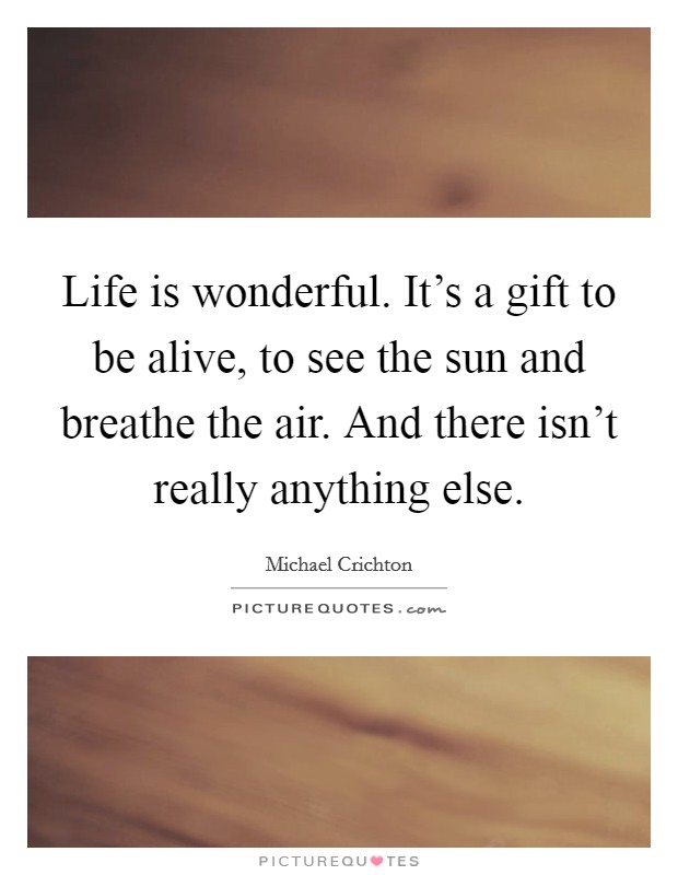 Life is wonderful. It's a gift to be alive, to see the sun and breathe the air. And there isn't really anything else. Picture Quote #1