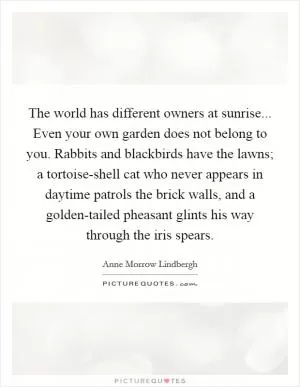 The world has different owners at sunrise... Even your own garden does not belong to you. Rabbits and blackbirds have the lawns; a tortoise-shell cat who never appears in daytime patrols the brick walls, and a golden-tailed pheasant glints his way through the iris spears Picture Quote #1