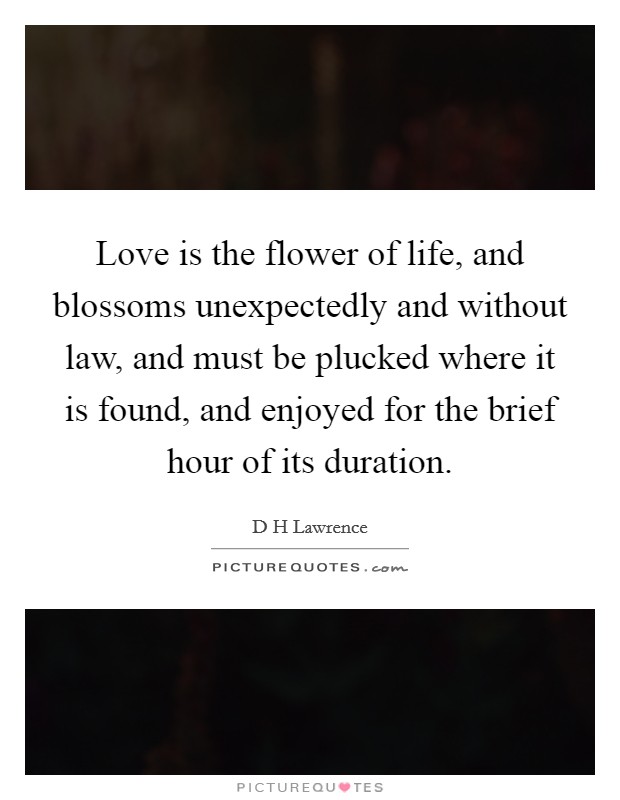 Love is the flower of life, and blossoms unexpectedly and without law, and must be plucked where it is found, and enjoyed for the brief hour of its duration. Picture Quote #1
