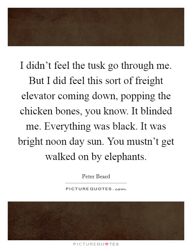 I didn't feel the tusk go through me. But I did feel this sort of freight elevator coming down, popping the chicken bones, you know. It blinded me. Everything was black. It was bright noon day sun. You mustn't get walked on by elephants. Picture Quote #1