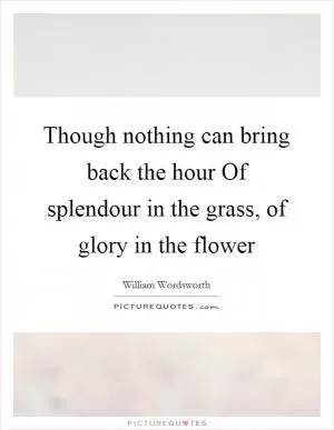 Though nothing can bring back the hour Of splendour in the grass, of glory in the flower Picture Quote #1