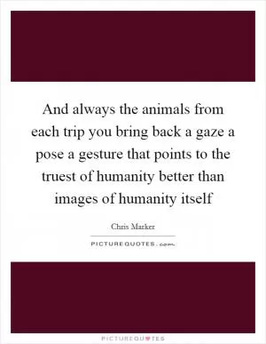 And always the animals from each trip you bring back a gaze a pose a gesture that points to the truest of humanity better than images of humanity itself Picture Quote #1